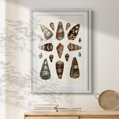 Kammerer -Gallery Wrapped Canvas