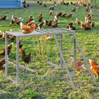 Poulet perché