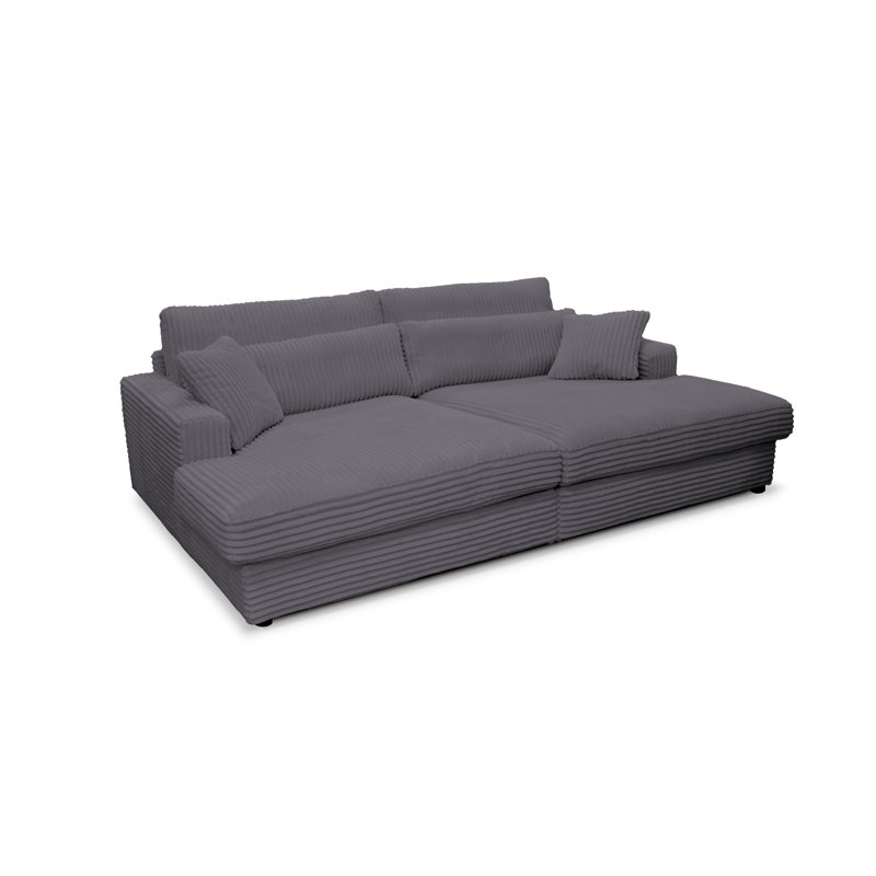 Rishabh Sleeper Sofa, Grey