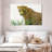 Brampt Wild Leopard-107685052