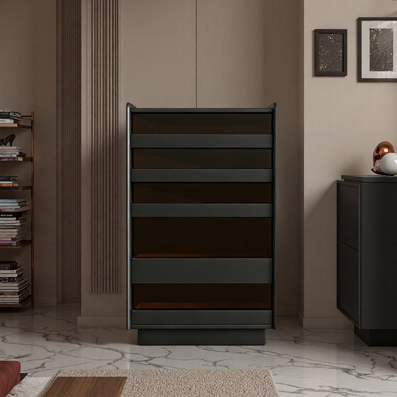 Light luxury fashion storage shoe cabinet, H 42,52 po x l 23,62 po x P 15,75 po, Noir