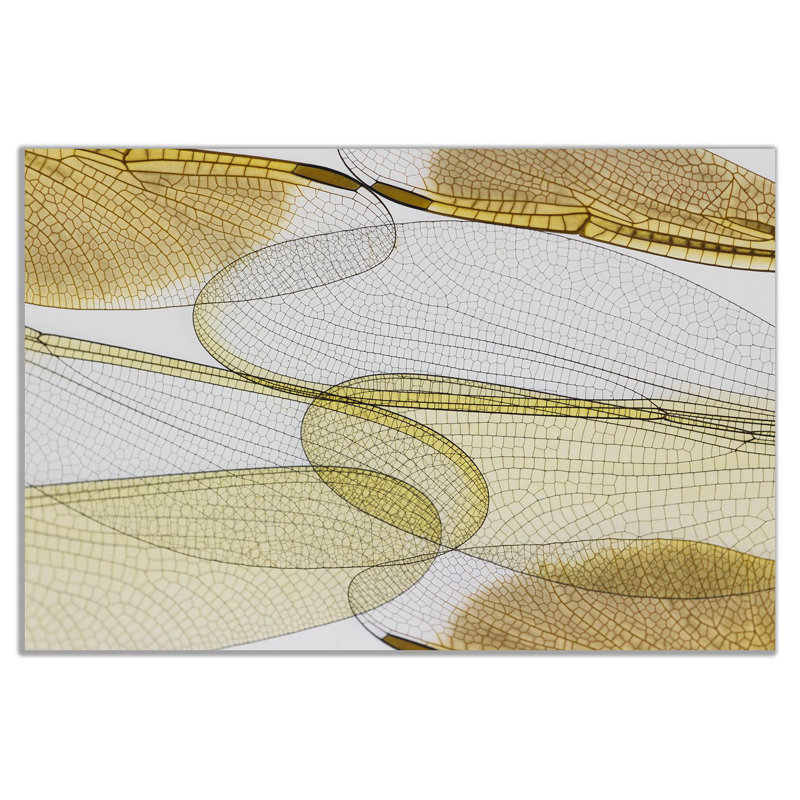 Dragonfly Wings Abstract - Wrapped Canvas Print, 61cm H x 91cm W