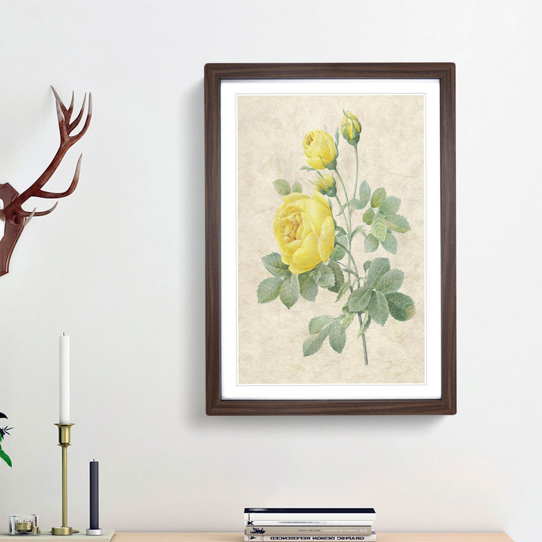 The Yellow Roses by Pierre-Joseph Redouté - Picture Frame Painting Print