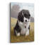 «Border Collie Puppy» par John Silver-1459850064