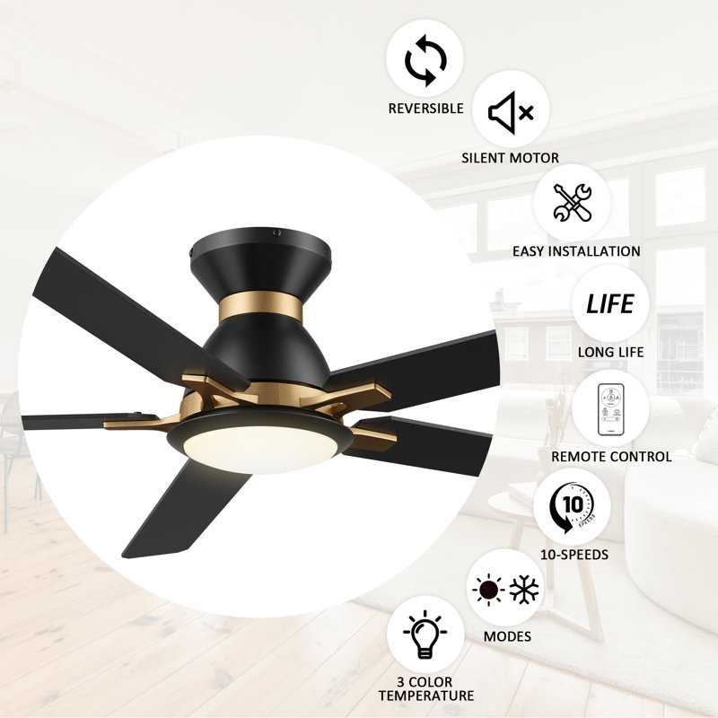 60'' Flush Mount Black Ceiling Fan with Light and Remote