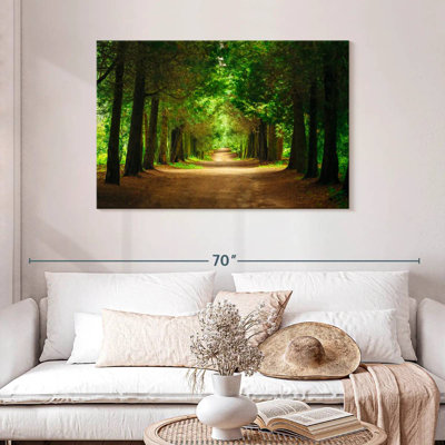 Sireci Park Tunnel Trees