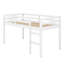 Lit mezzanine en bois avec échelle-426432109