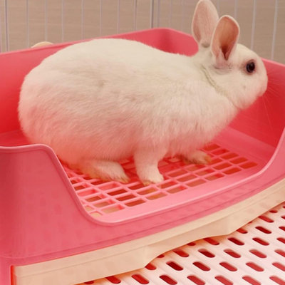 Brown Rabbit Litter Box Tray,for Adult Guinea Pigs,Hamster Ferret