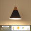 Luminaire suspendu pour îlot de cuisine 1 lumière avec accents en bois Hinsinger-1904927215-1944815310