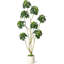 Parasol artificiel Schefflera