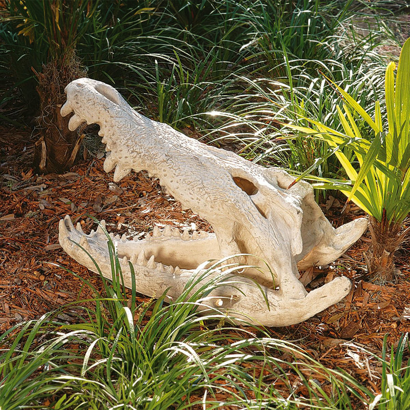 Statue d’artefact crâne crocodile