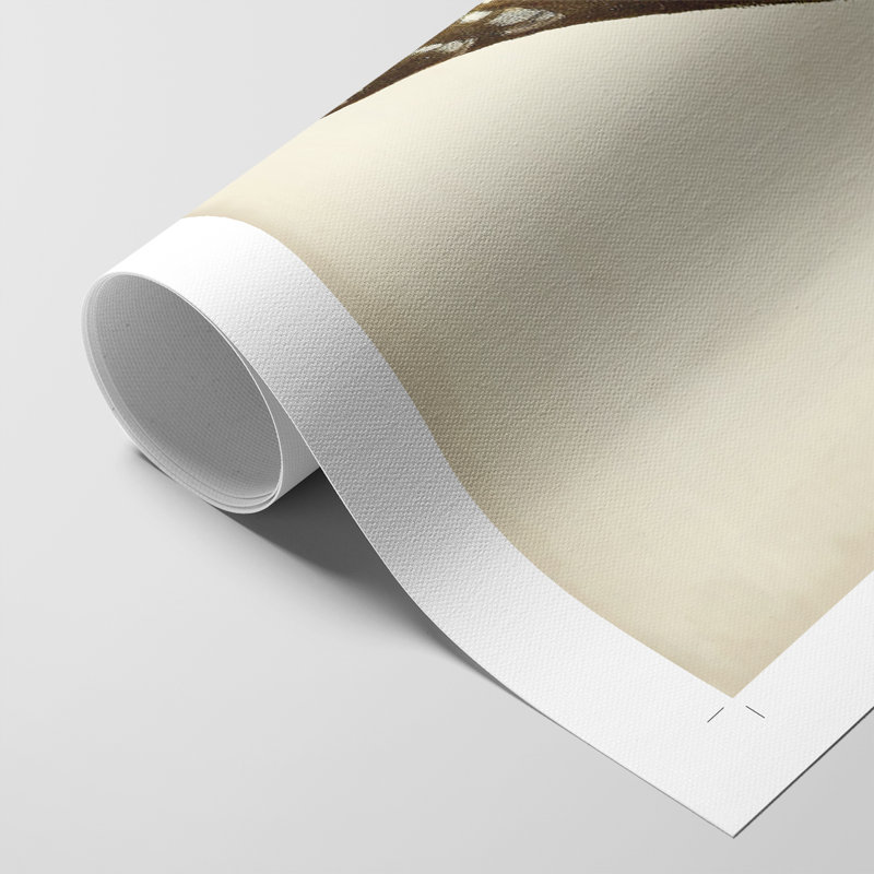 Hiboux français I - impression sur toile seulement - non encadrée, H 27 po x l 18 po