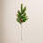 Pine Cone Arrangement