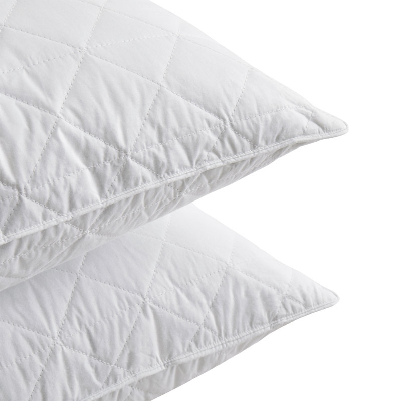 Oreillers gris en plumes d'oie, Standard