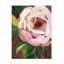 Bolognaise «Pixel Rose I» sur-98390930