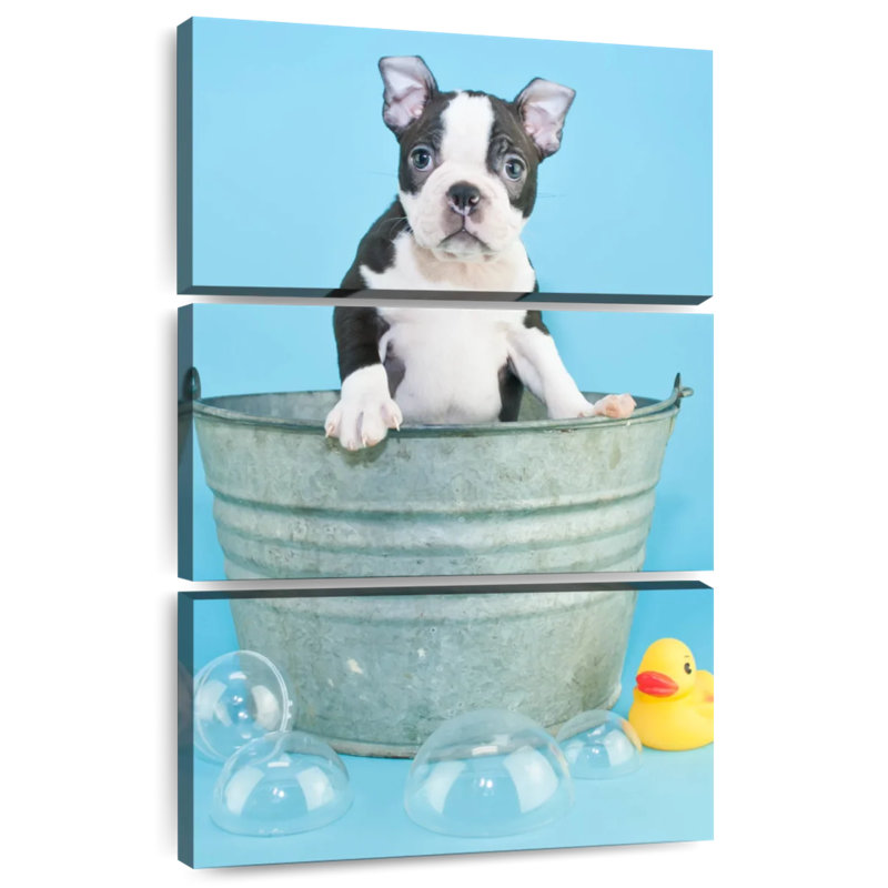 Brampt Bathing Terrier, H 38 po x l 24 po