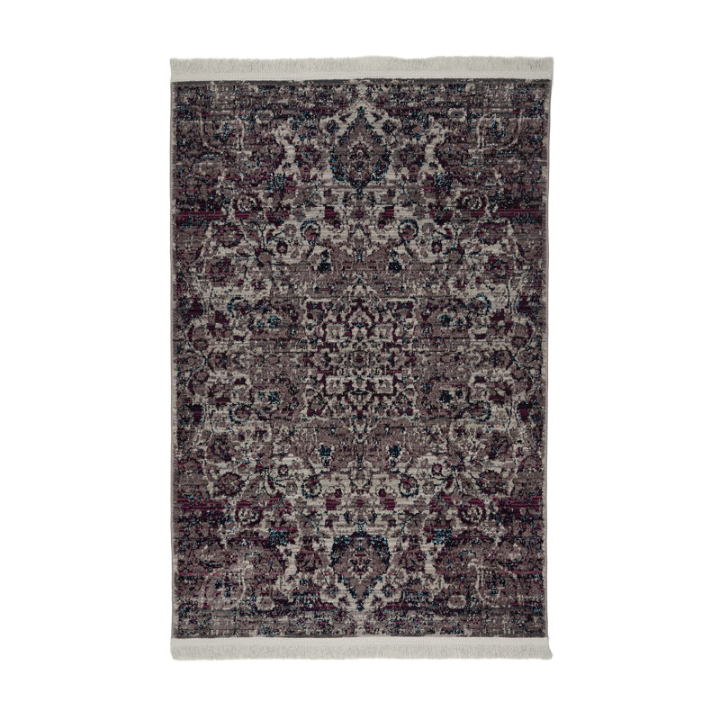 Oriental 160cm X 240cm Area Rug