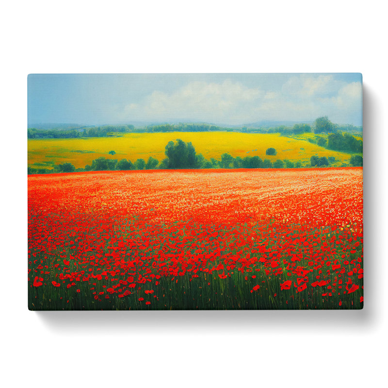 Head Turning Poppies Flowers - Wrapped Canvas, 35cm H x 50cm W x 3cm D