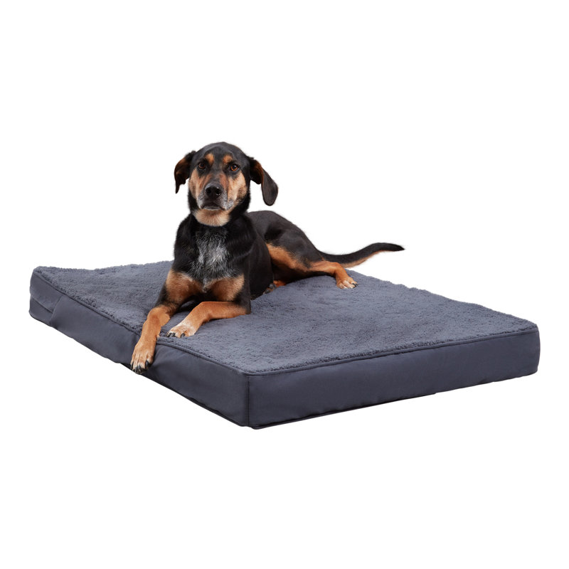 Lit orthopédique pour chien Lind Stockholm, Moyen (l 42 po x P 30 po x H 4 po), Acier bleu