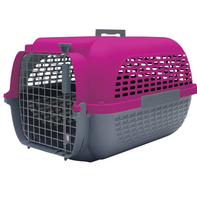 Dogit Collapsible Pet Carrier
