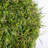 7 " H Faux Onion Grass