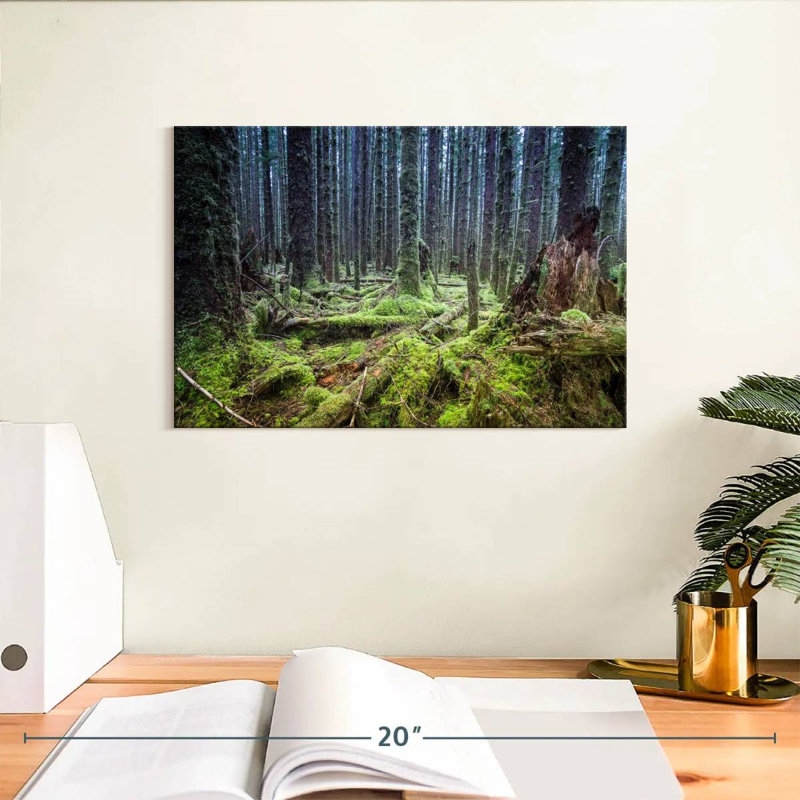 Forêt tropicale Alvord Mossy Hoh, H 8 po x l 12 po