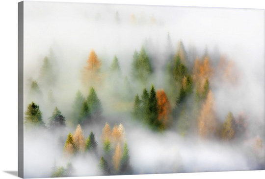 « automne automne » par kristjan rems, art mural sur toile, 20 po x 30 p