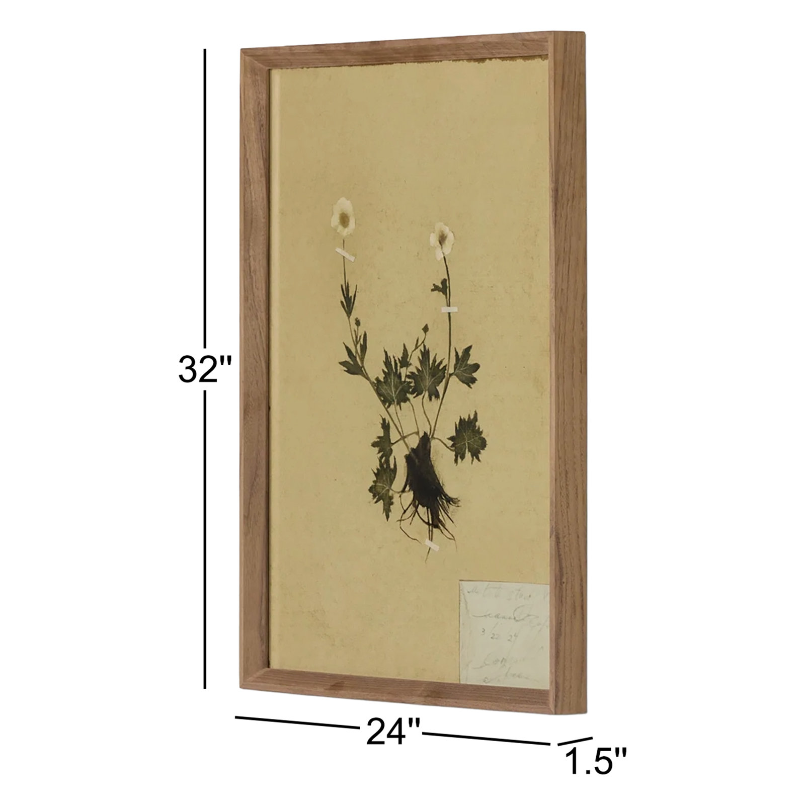 "Petite Study No. V" by Hannah Winters, 32" H x 24" W