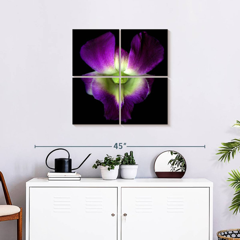 Orchidée Harnek Solo, H 26 po x l 26 po