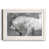 White Framed Paper