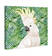 Animals Cockatoo Profile Birds Framed On Canvas Painting