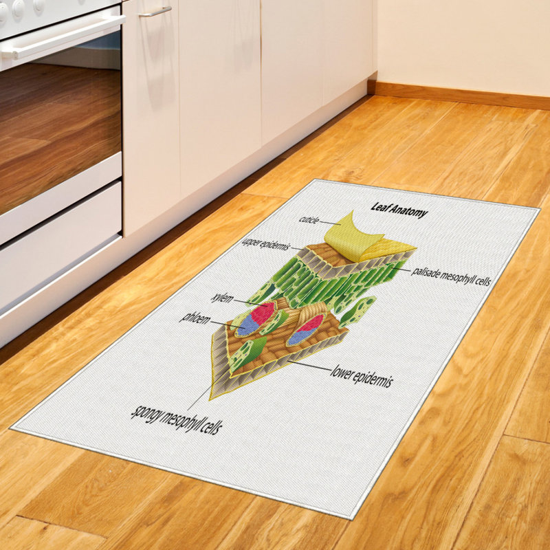 Tapis décoratif à longues fibres en fibres à haute densité Science, Rectangle 2 pi 7 po x 5 pi