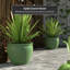 Cache-pot Shewmaker-1825344170-1825344163
