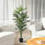 Ronessa 160cm Lifelike Plant: No Care & Year-Round Greenery