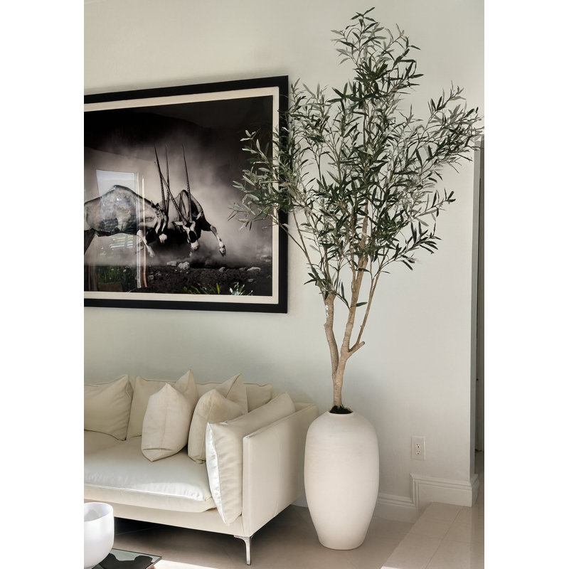 Artificial Olive Tree In White Konos Vase, White