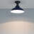 Ionathan Flush Mount-1272082768