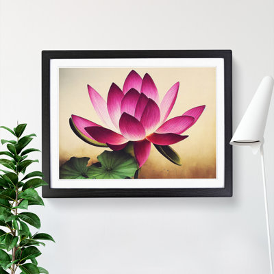 Unique Lotus Flower - Framed Print