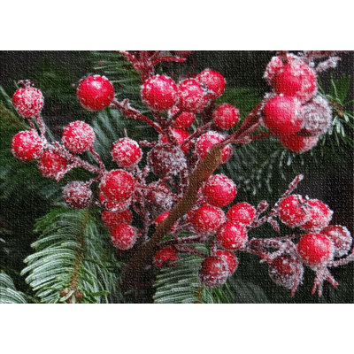 Tapis rouge Berries