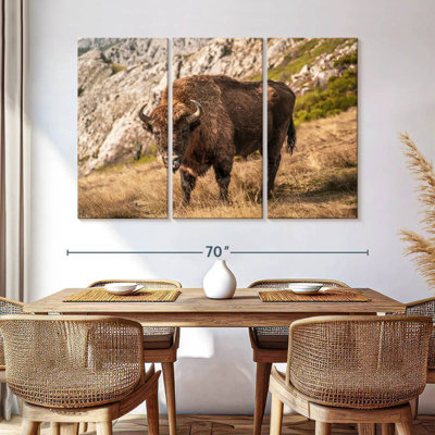 Mountain Bison