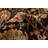 Jamshidpour Black Rug 2'4" x 9'7"