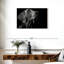Brampt chien monochrome-108800582