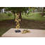 Gates 60'' W Solid Wood Buffet-1679714383