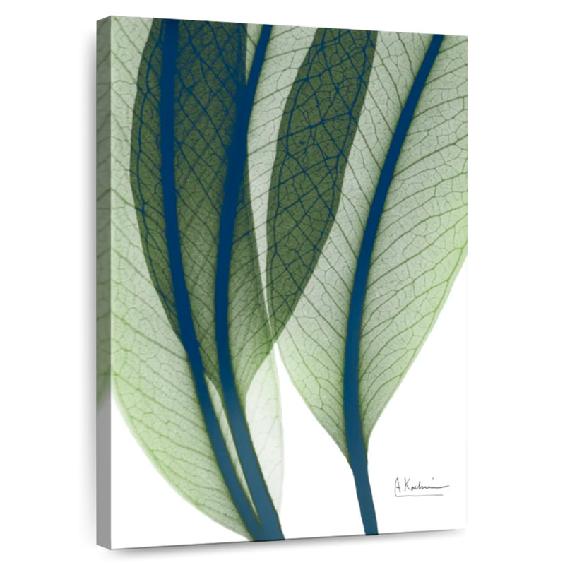 Harnek Vibrant Botanicals I, H 12 po x l 8 po