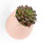 Kampe Wall Planter-1894534128-1894534130