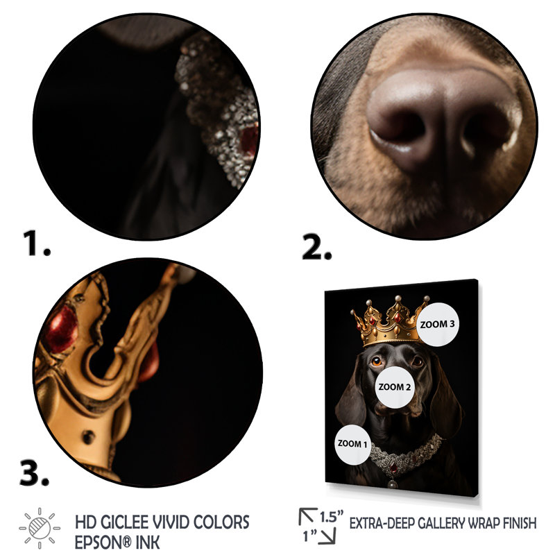 Chien couronné teckel royal - art mural chien, Cadre flottant blanc, H 20 po x l 12 po x P 1 po