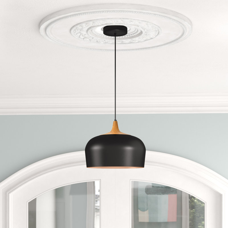 Reiner 1 - Light Single Pendant, Brown, Black