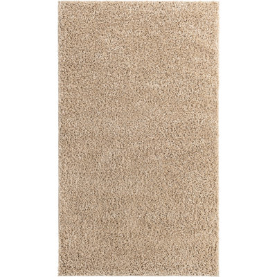 Indoor Rug