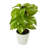 9'' Faux Pothos Plant in Planter