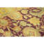 Hand Knotted Wool Oriental Area Rug in Red And Gold