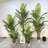 Artificial Palm Tree In Pot-855232497